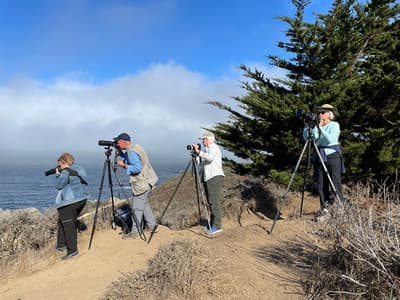 Carmel, Monterey, & Big Sur Coast 1
